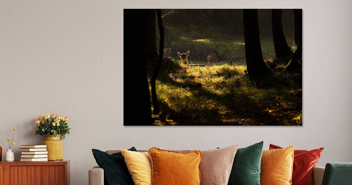 Nicky Depypere | Discover the beautiful Artworks